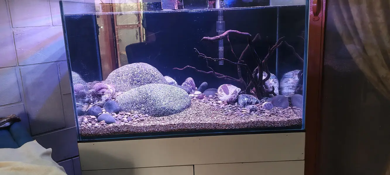aquarium complte setup