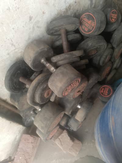 gym dubal haf rate pe