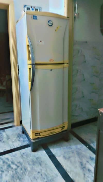 pel refrigerator