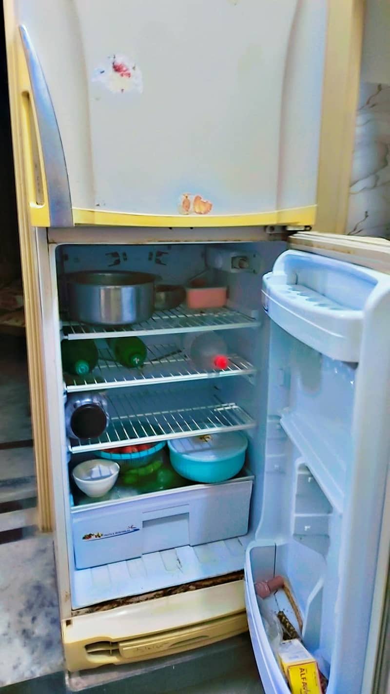 pel refrigerator 3