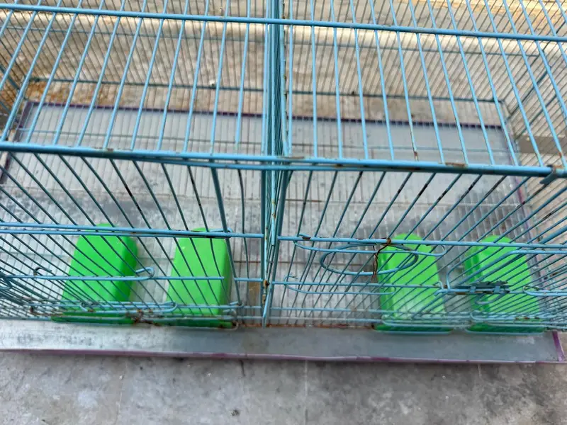 Zarar Cage 1.5/1.5/3 — photo 3