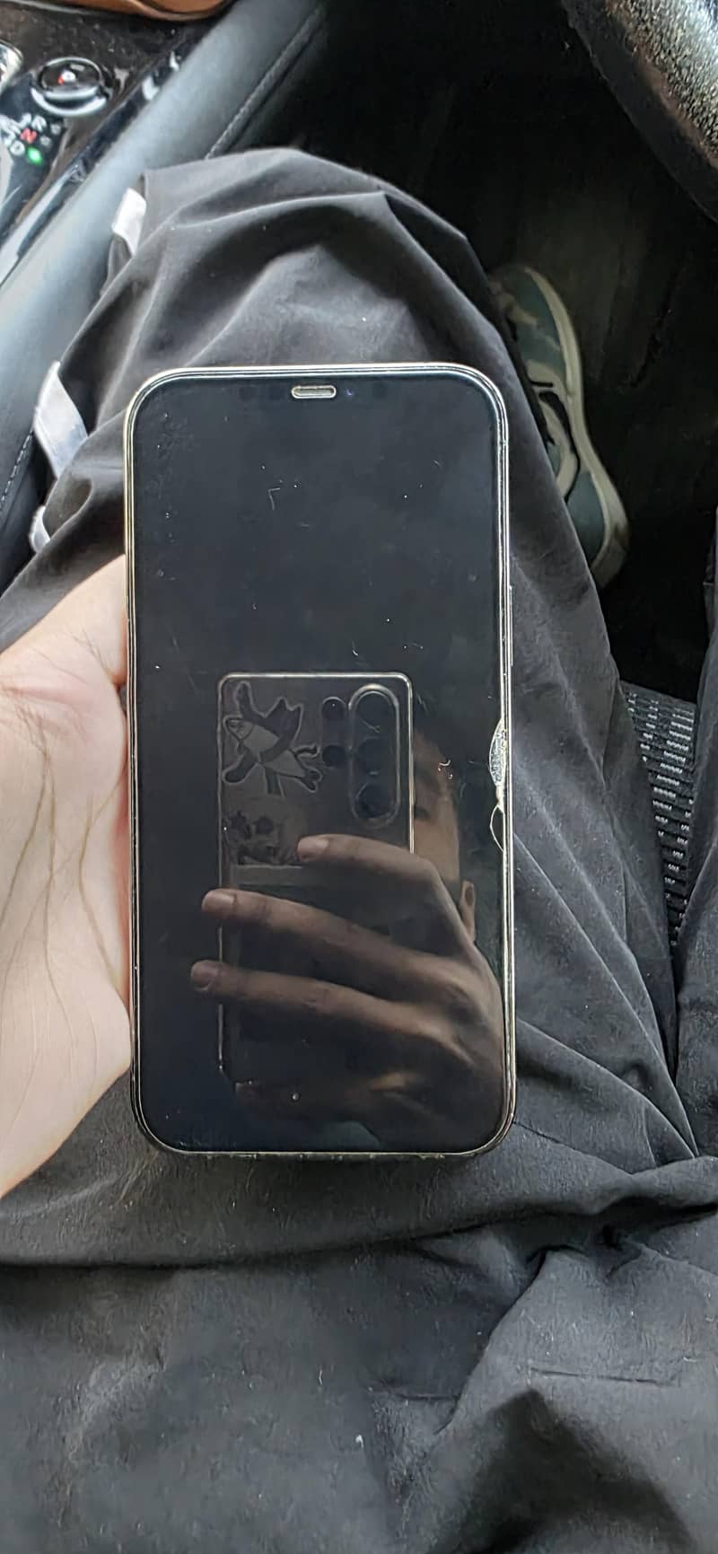 Apple iPhone 12 Pro Max 1