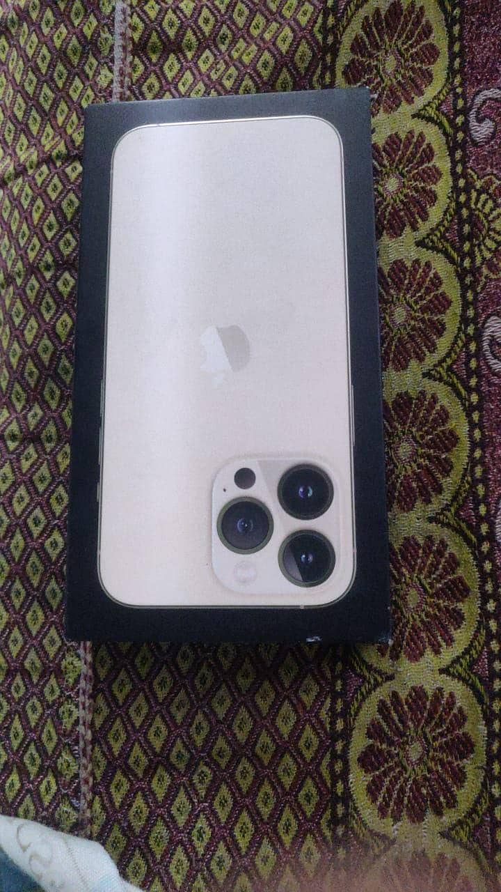 Apple iPhone 13 Pro 0