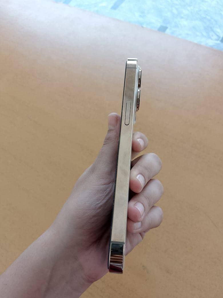Apple iPhone 13 Pro 1