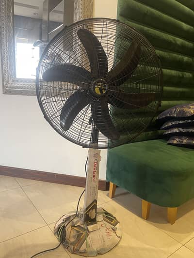 Dawlence Fan