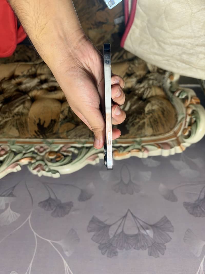 Apple iPhone 13 Pro Max 4