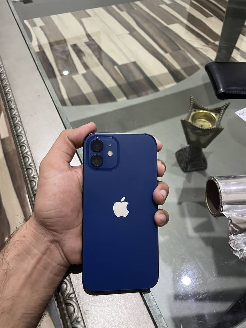 Apple iPhone 12 1