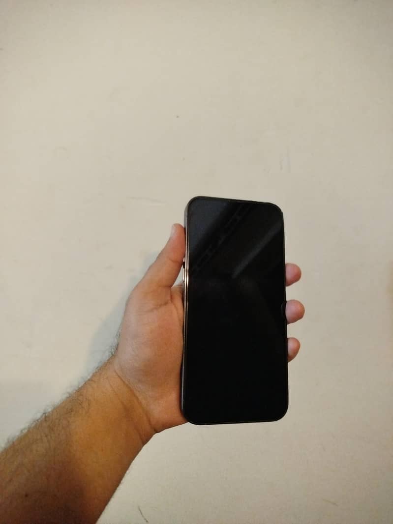 Apple iPhone 13 Pro Max 1