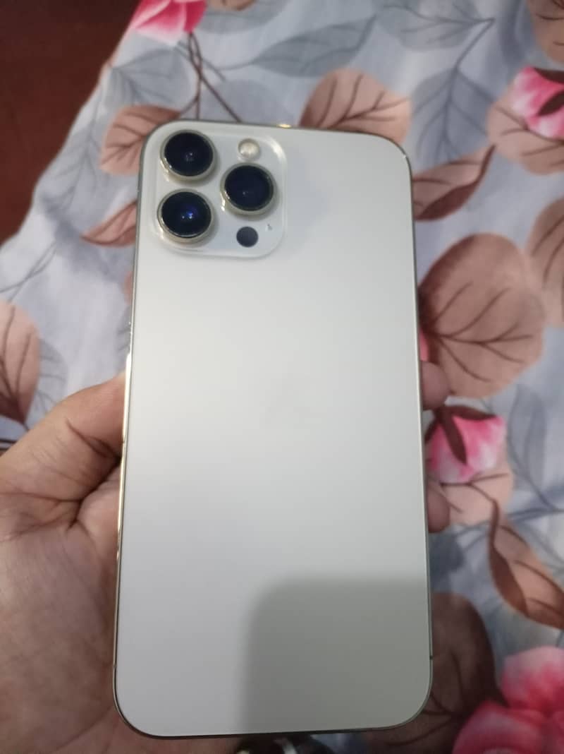 Apple iPhone 13 Pro Max 1