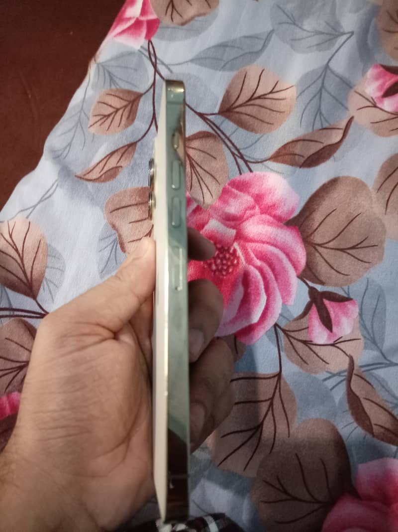 Apple iPhone 13 Pro Max 2