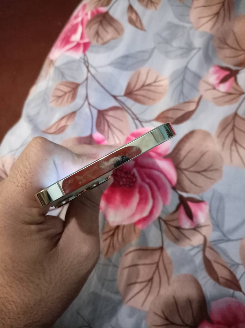 Apple iPhone 13 Pro Max 4