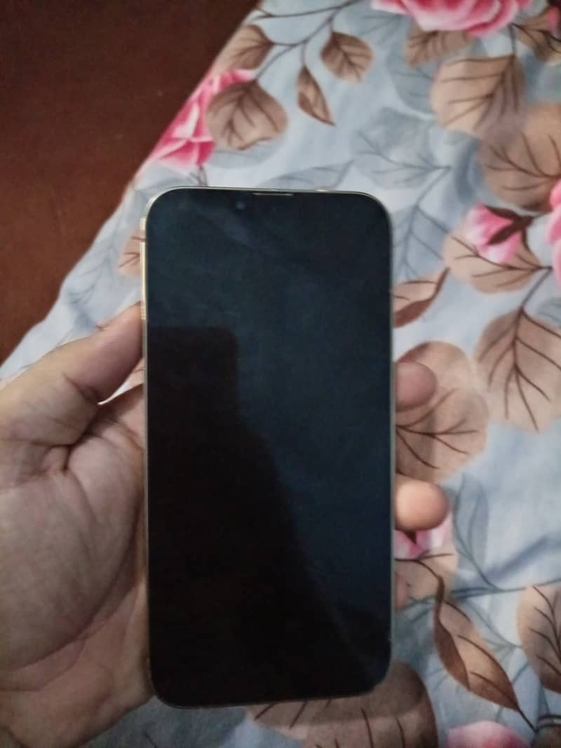 Apple iPhone 13 Pro Max 6