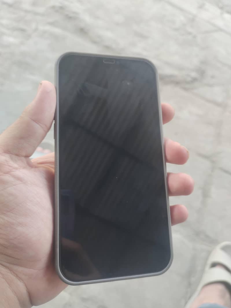 Apple iPhone 12 Pro Max 1
