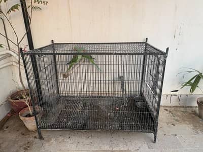 raw parrot breader cage