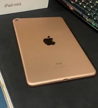 Apple iPad Mini 5