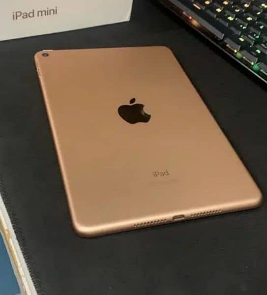 Apple iPad Mini 5 0