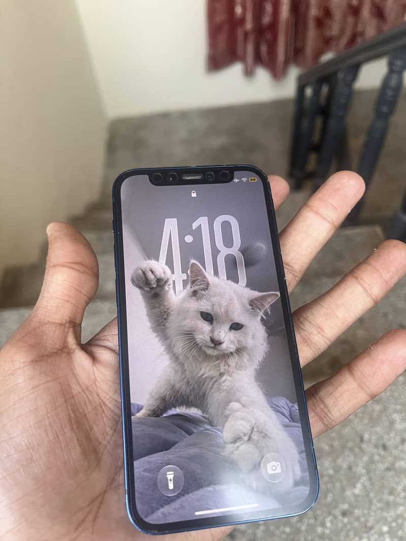 Apple iPhone 12 mini 5