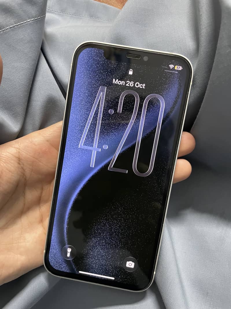 Apple iPhone 12 mint condition 2
