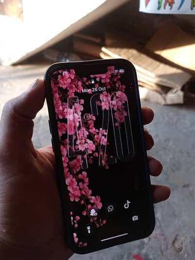 Apple iPhone 13