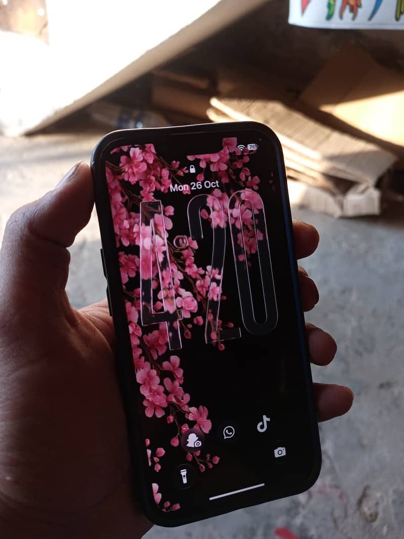 Apple iPhone 13 0