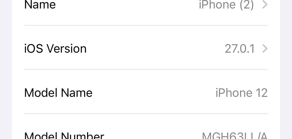 Apple iPhone 12 1