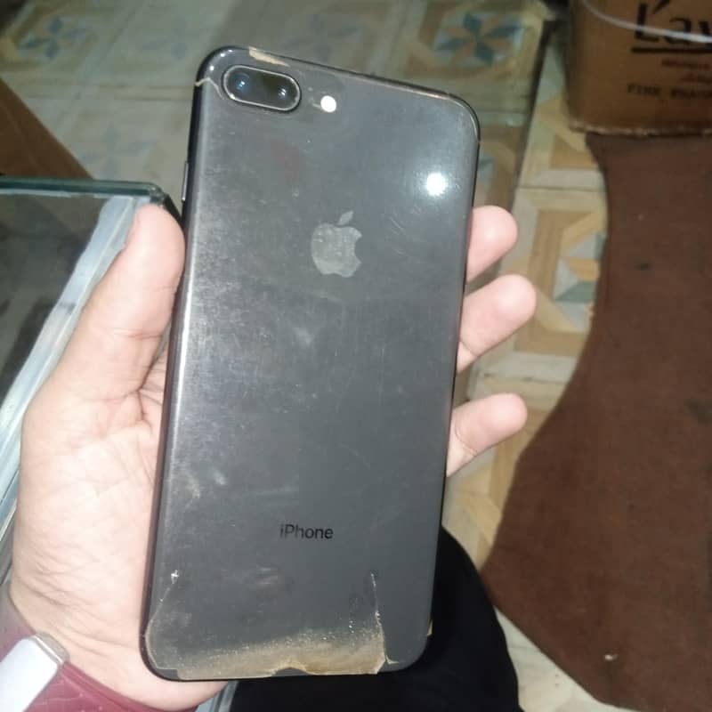 8 plus 4