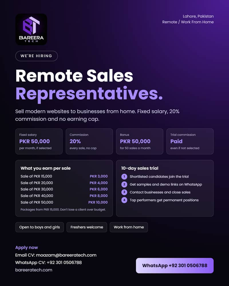 Remote Sales Representative, Work From Home, Salary + 20% Commission ...