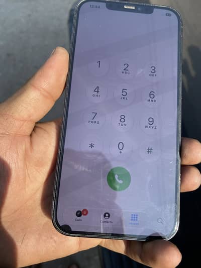 Apple iPhone 12 Pro Max