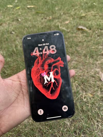 Apple iPhone 12 Pro Max Non PTA 128Gb Waterpack