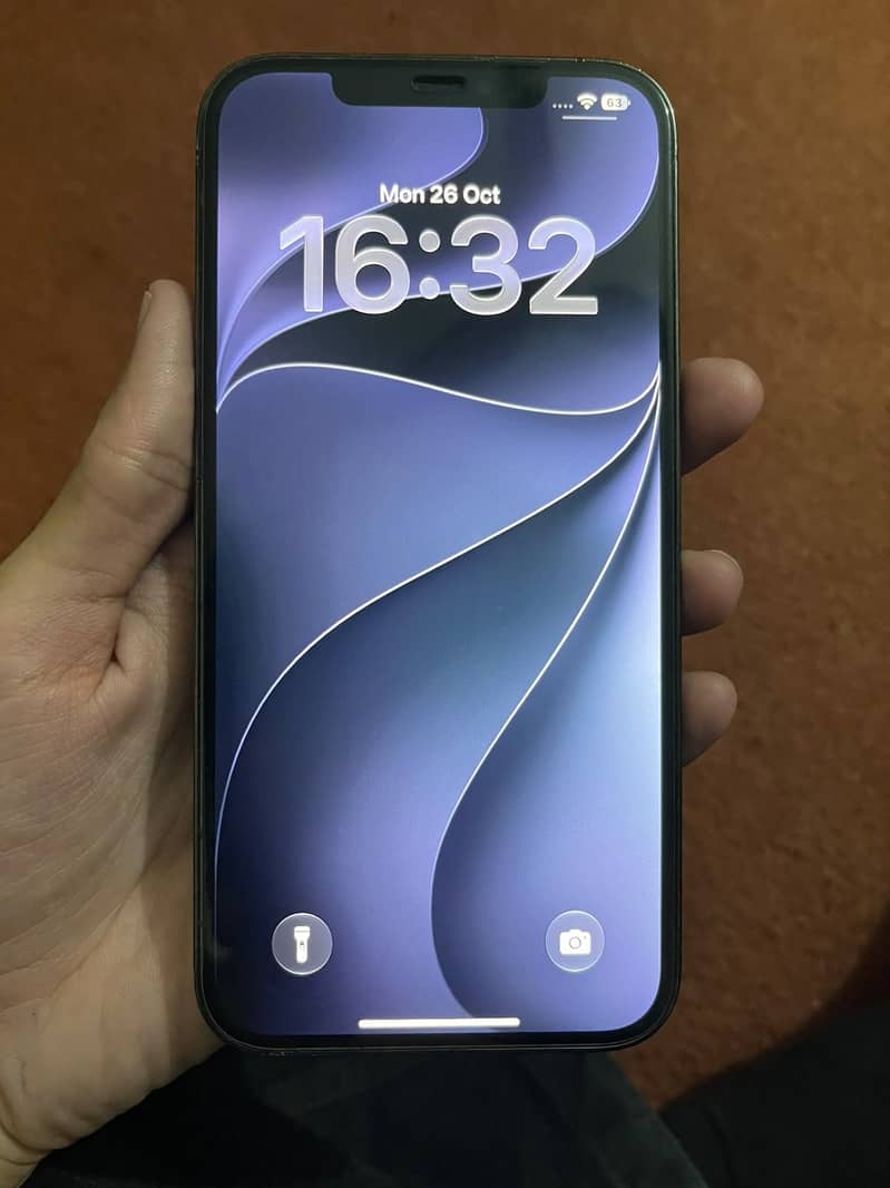 Apple iPhone 12 Pro Max 0