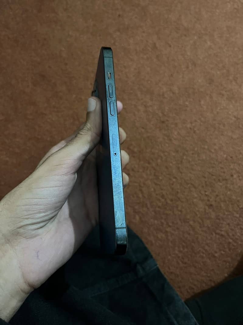 Apple iPhone 12 Pro Max 1