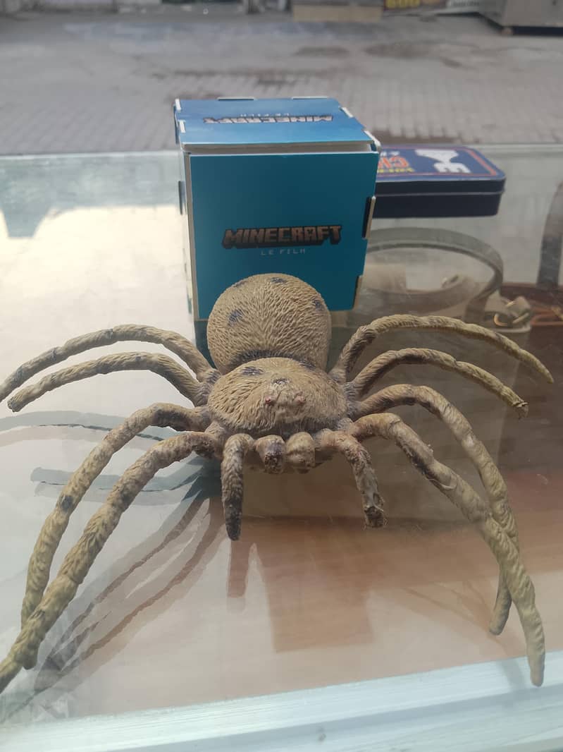 spider 0