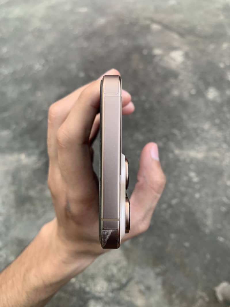 Apple iPhone 16 Pro Max 1