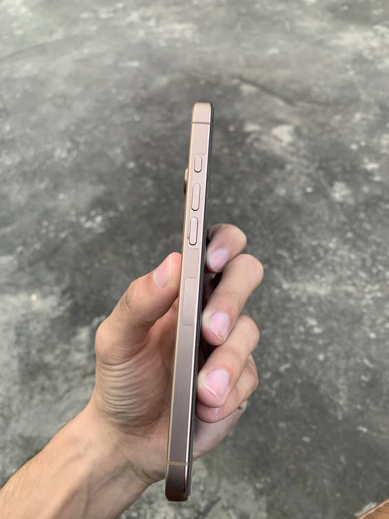 Apple iPhone 16 Pro Max 4