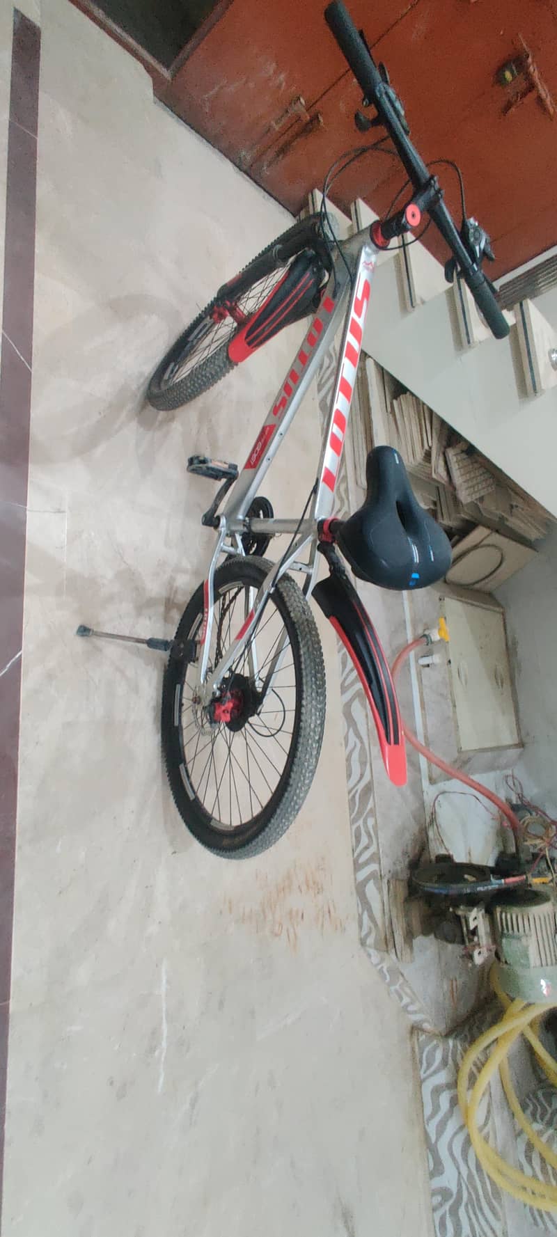 lotus 6061 model cycle 1