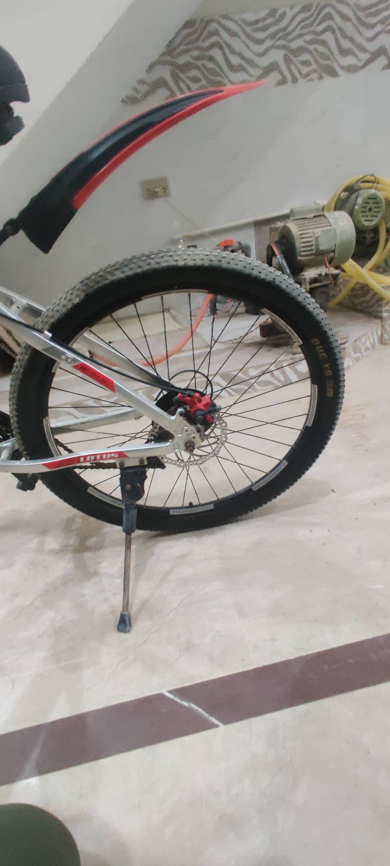 lotus 6061 model cycle 2