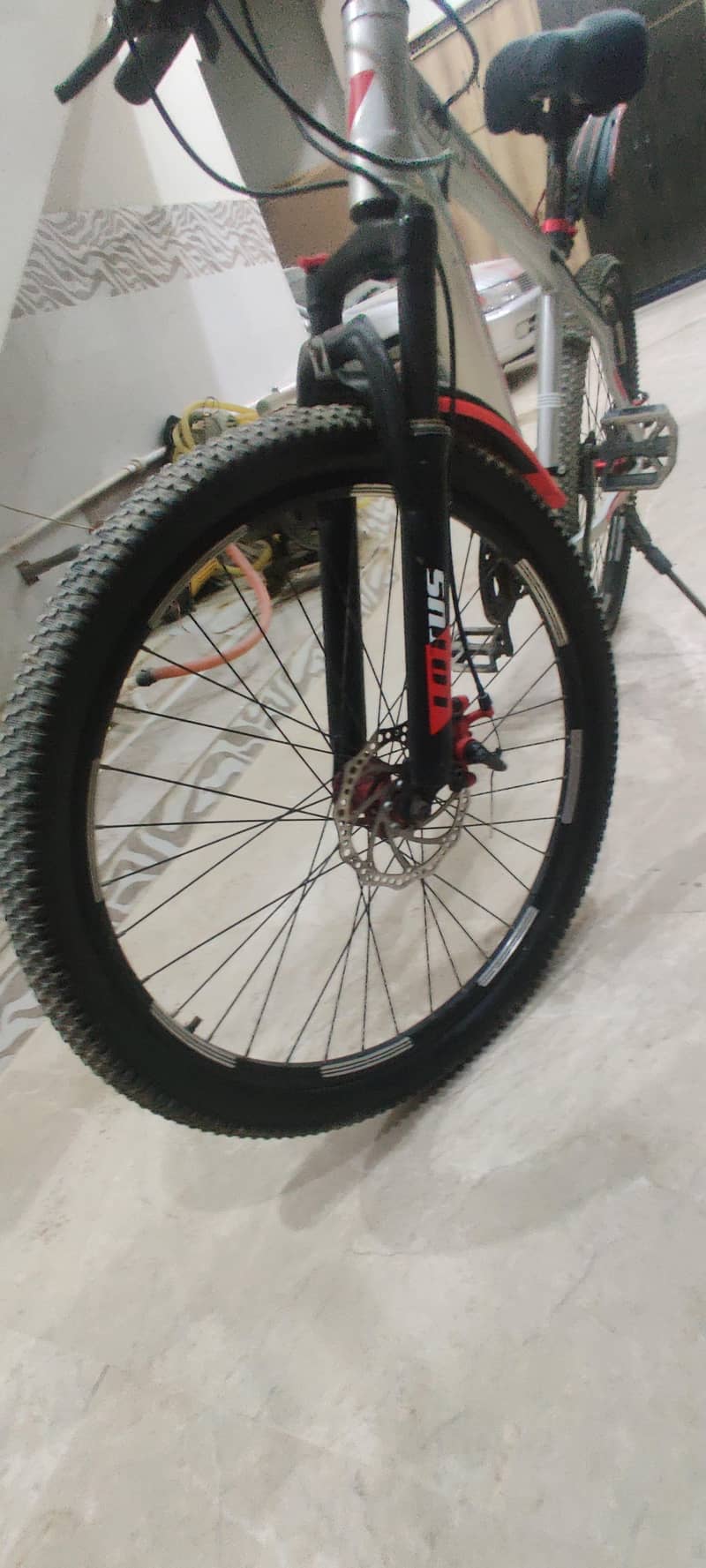 lotus 6061 model cycle 4