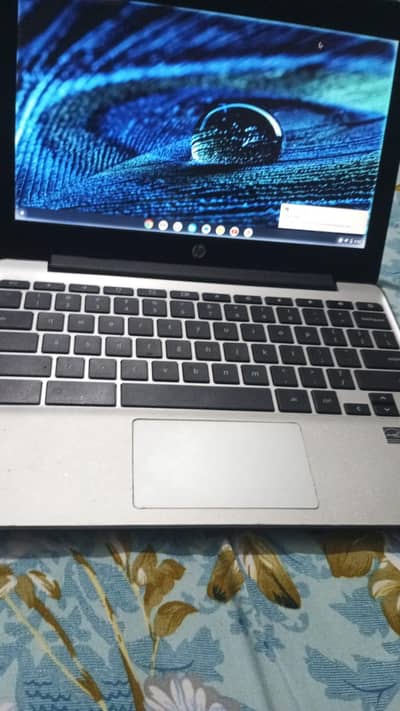 Hp Chromebook Whatsapp o332162o382