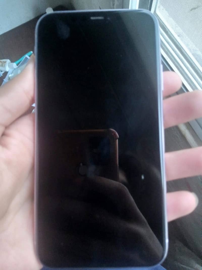 Apple iPhone 11 0