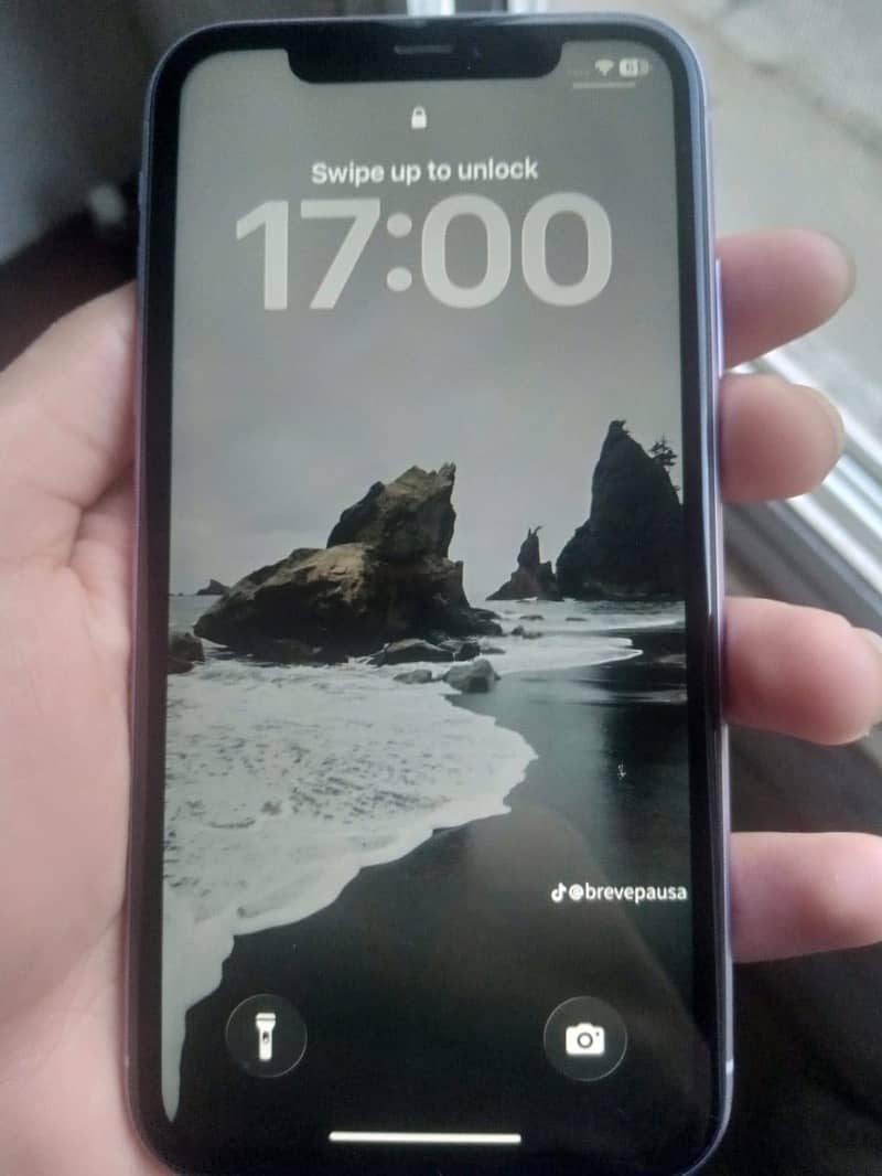 Apple iPhone 11 2