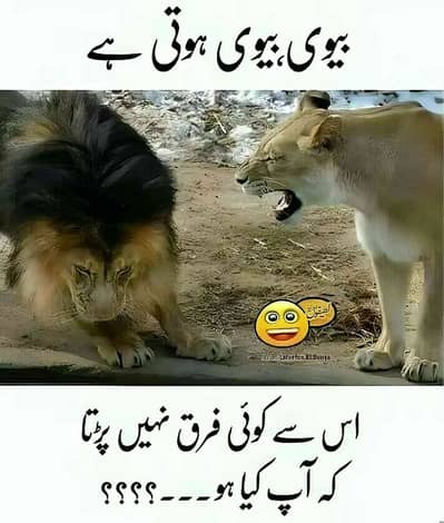 Mughal