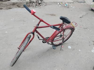 phoenix bicycle 24 inch cycle
