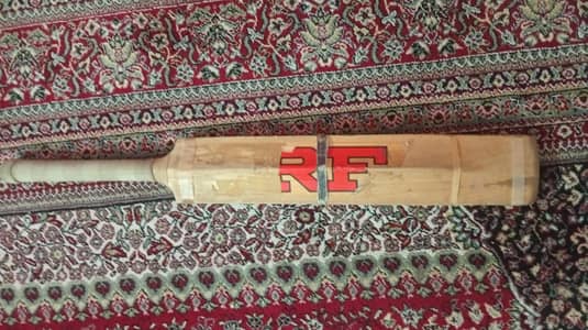 hard ball cricket bat