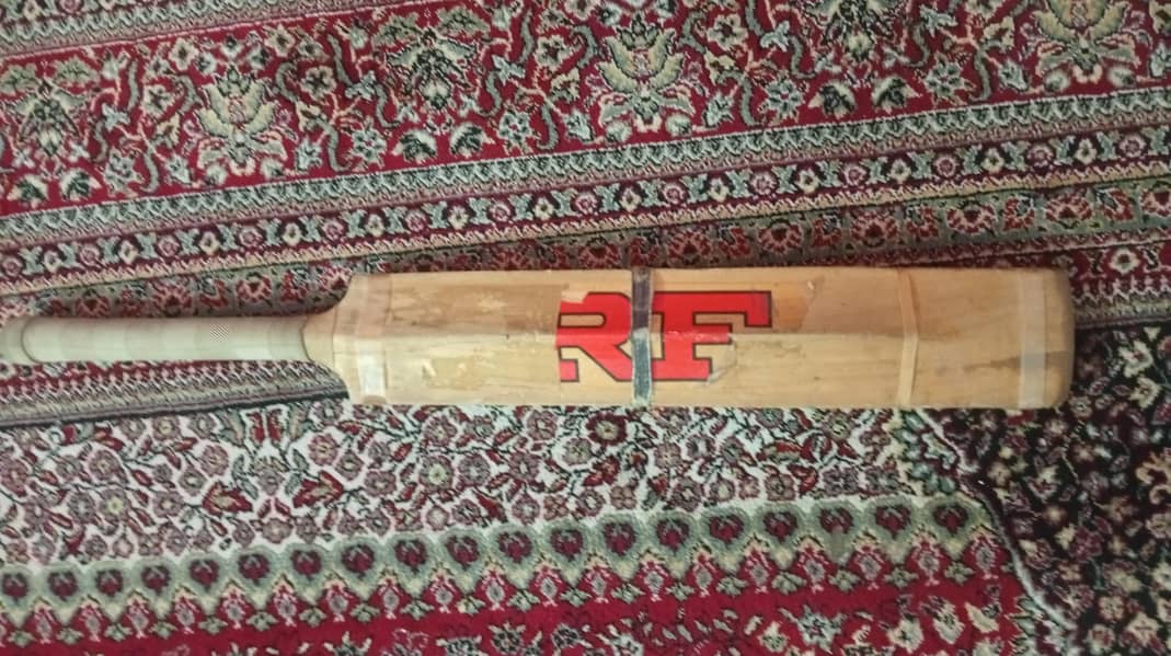 hard ball cricket bat 0
