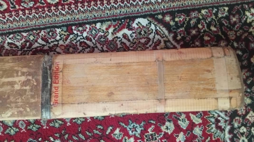 hard ball cricket bat 1
