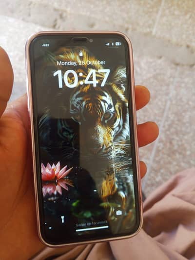 Apple iPhone X Offical PTA 256GB read aad