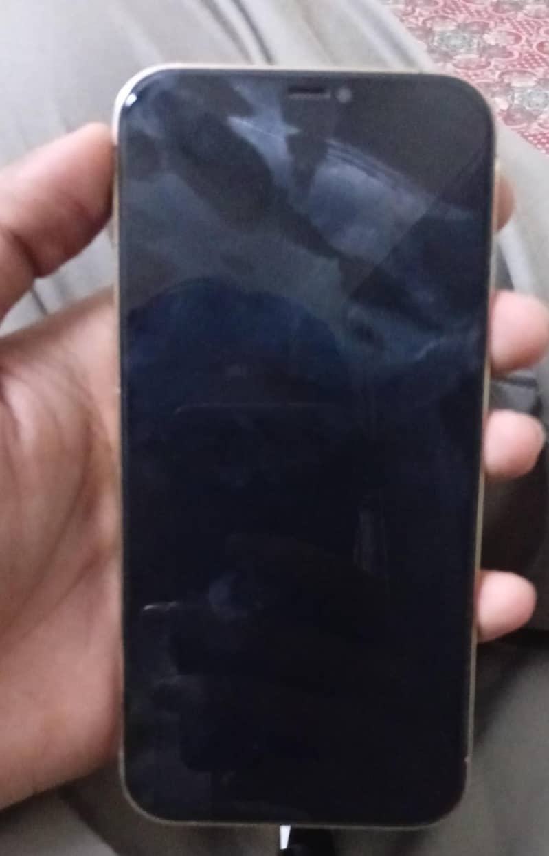 Apple iPhone 12 Pro Max 4