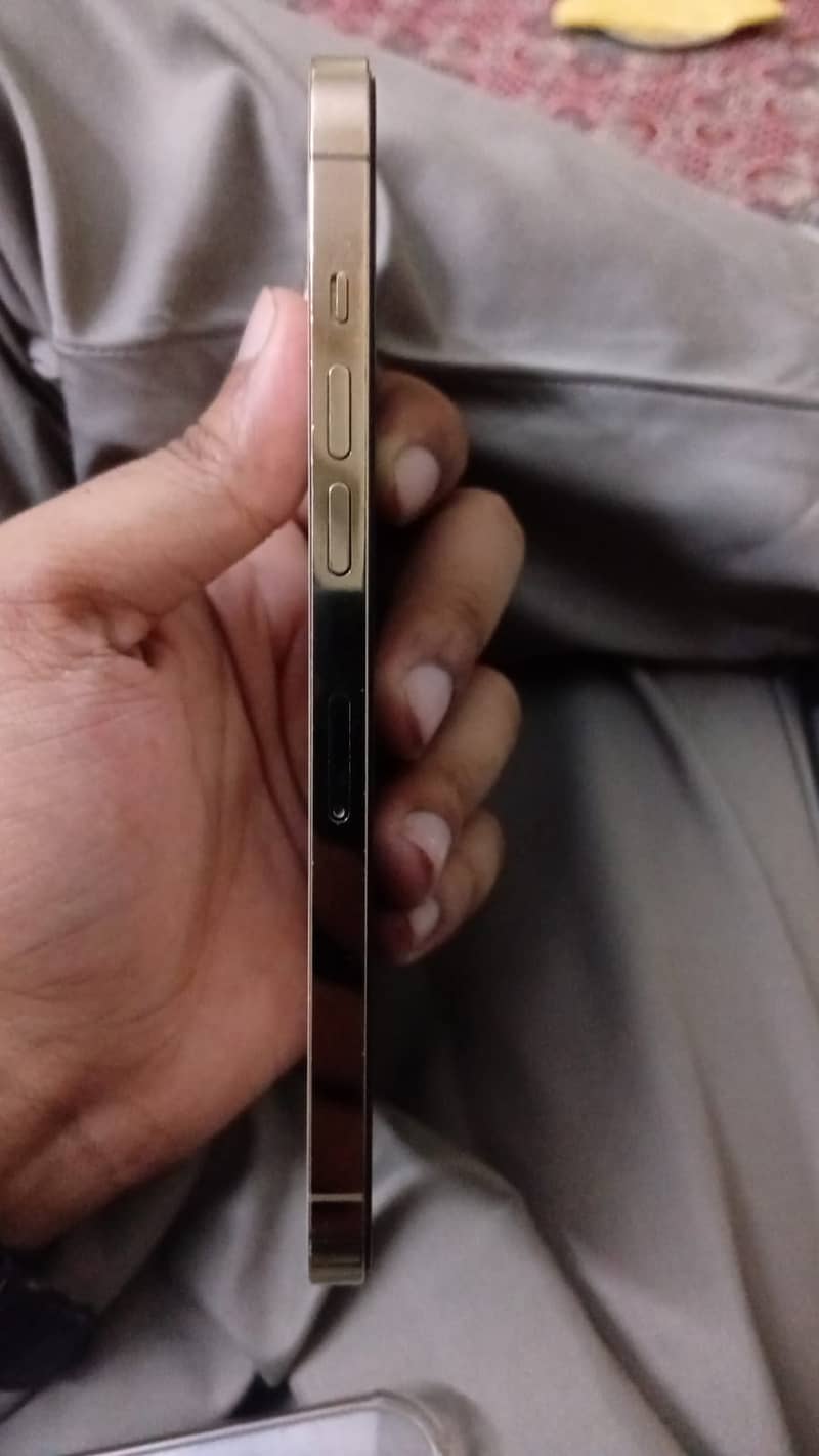 Apple iPhone 12 Pro Max 5