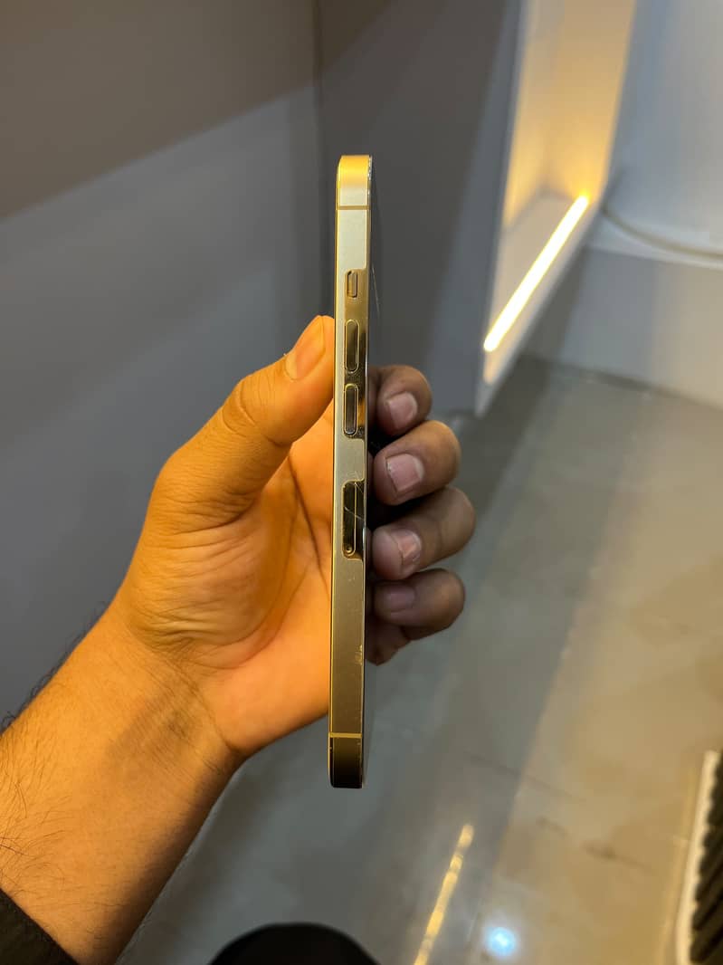 Apple iPhone 13 Pro 1