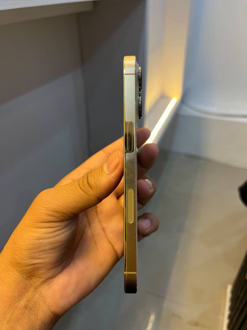 Apple iPhone 13 Pro 2